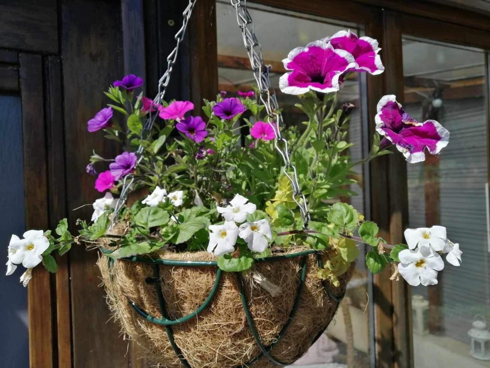 Normand Holiday Home - Vire Calvados Relaxing Rural Retreat Le Reculey 外观 照片